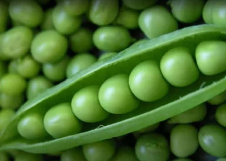 Egyptian Peas (Bazella) with Carrot and Meat Casserole Recipe